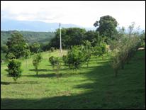 Costa Rica Land for Sale