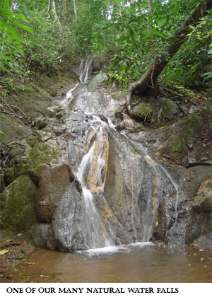 Costa Rica Nature